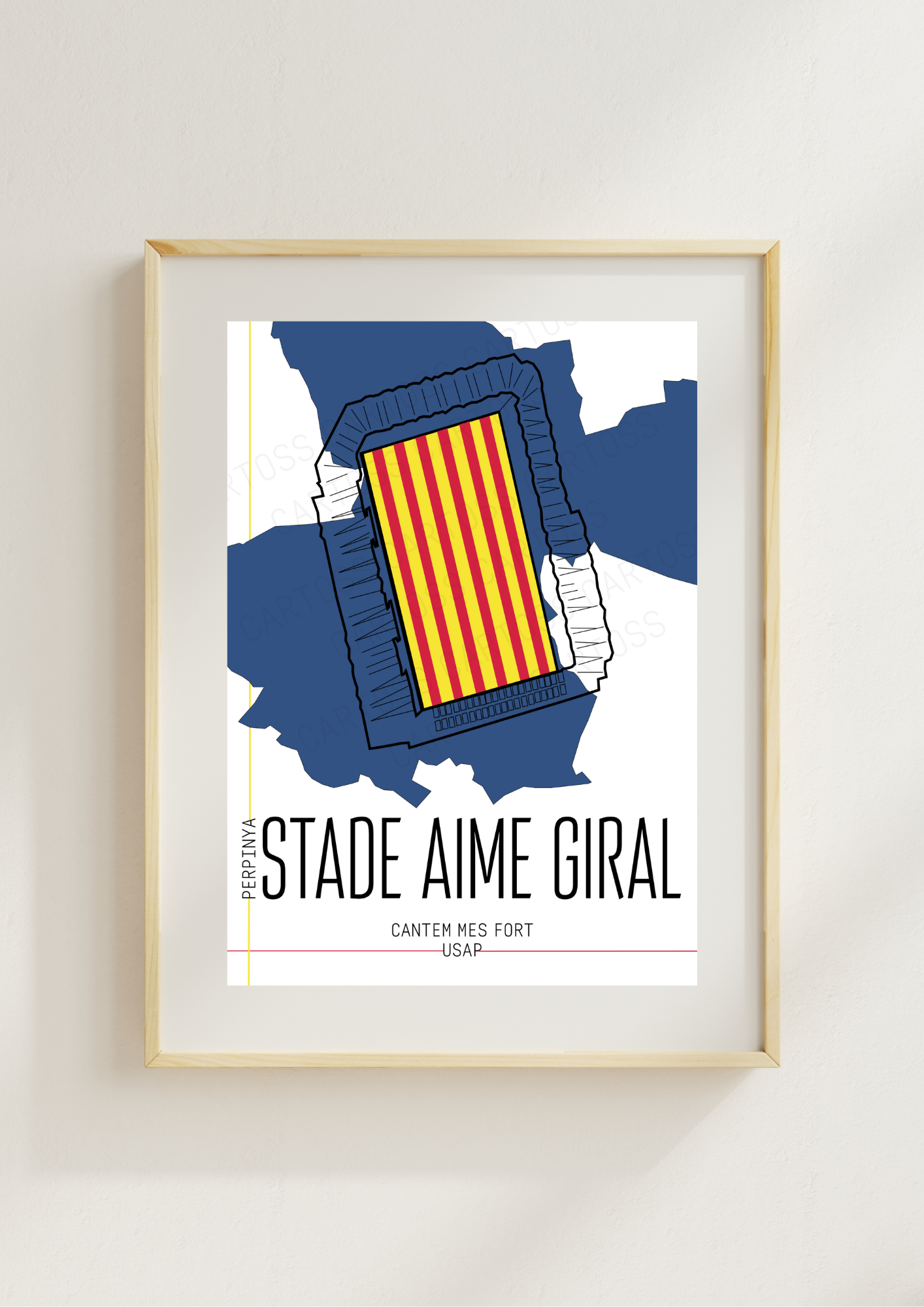 Affiche Aimé Giral USAP