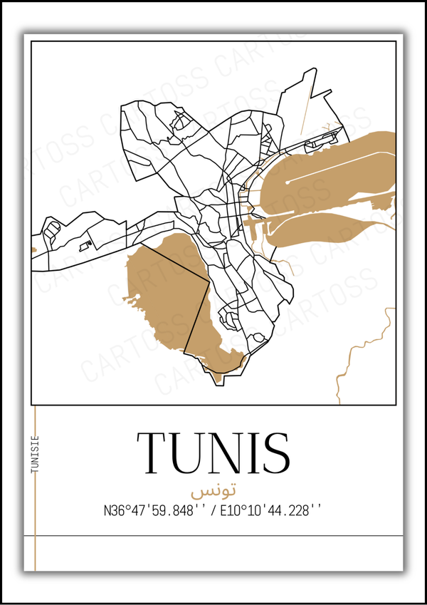 Affiche Tunis minimaliste